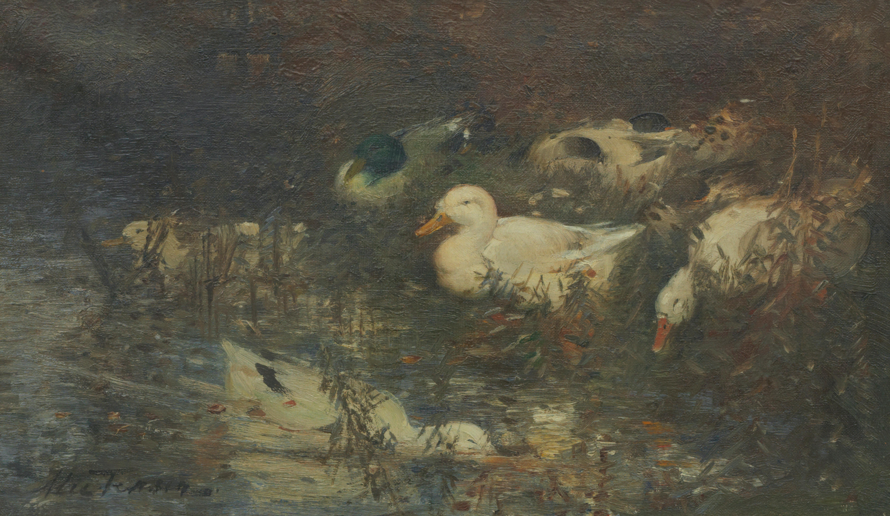 Ducks by the stream