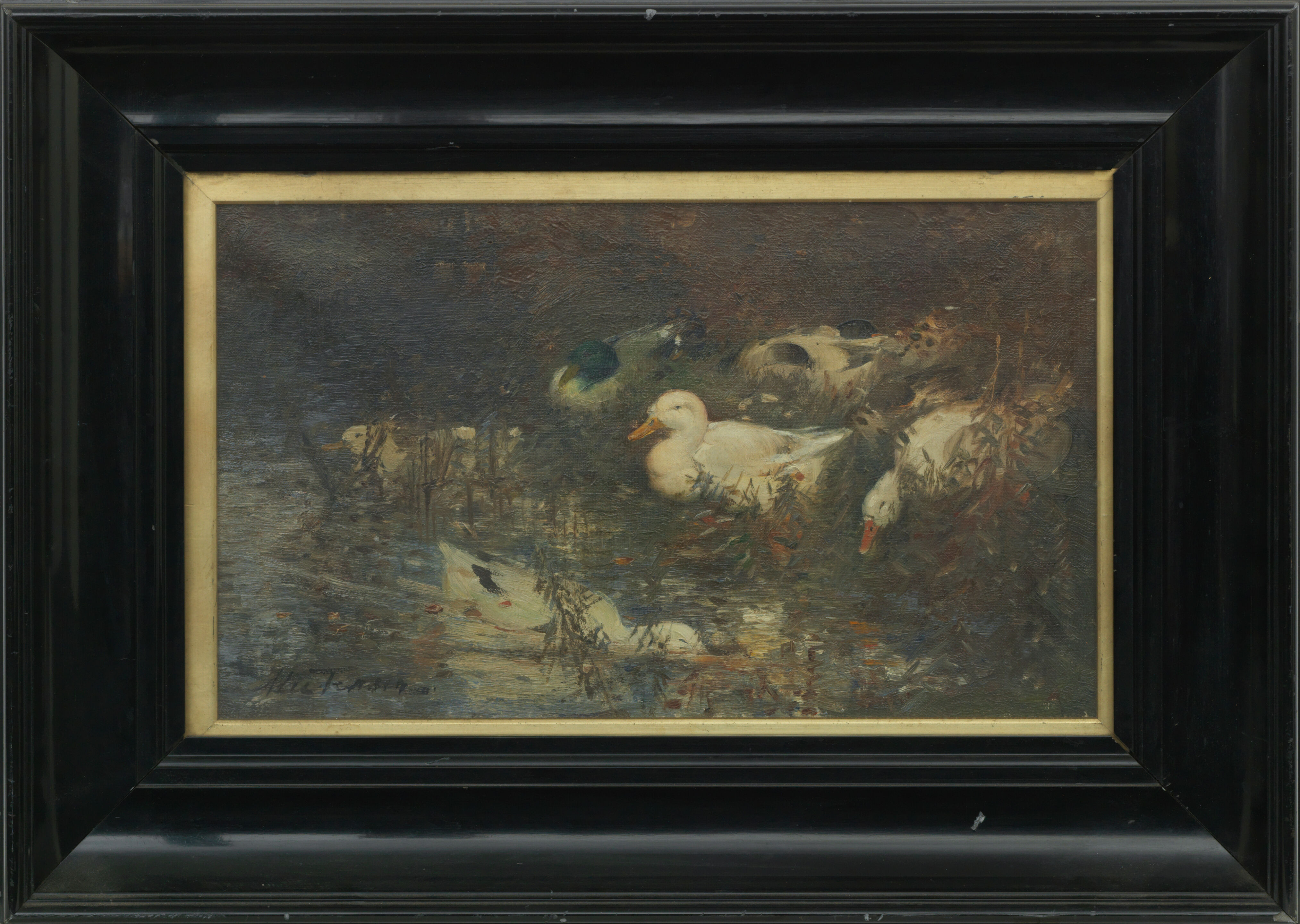 Ducks by the stream - Thumb 3