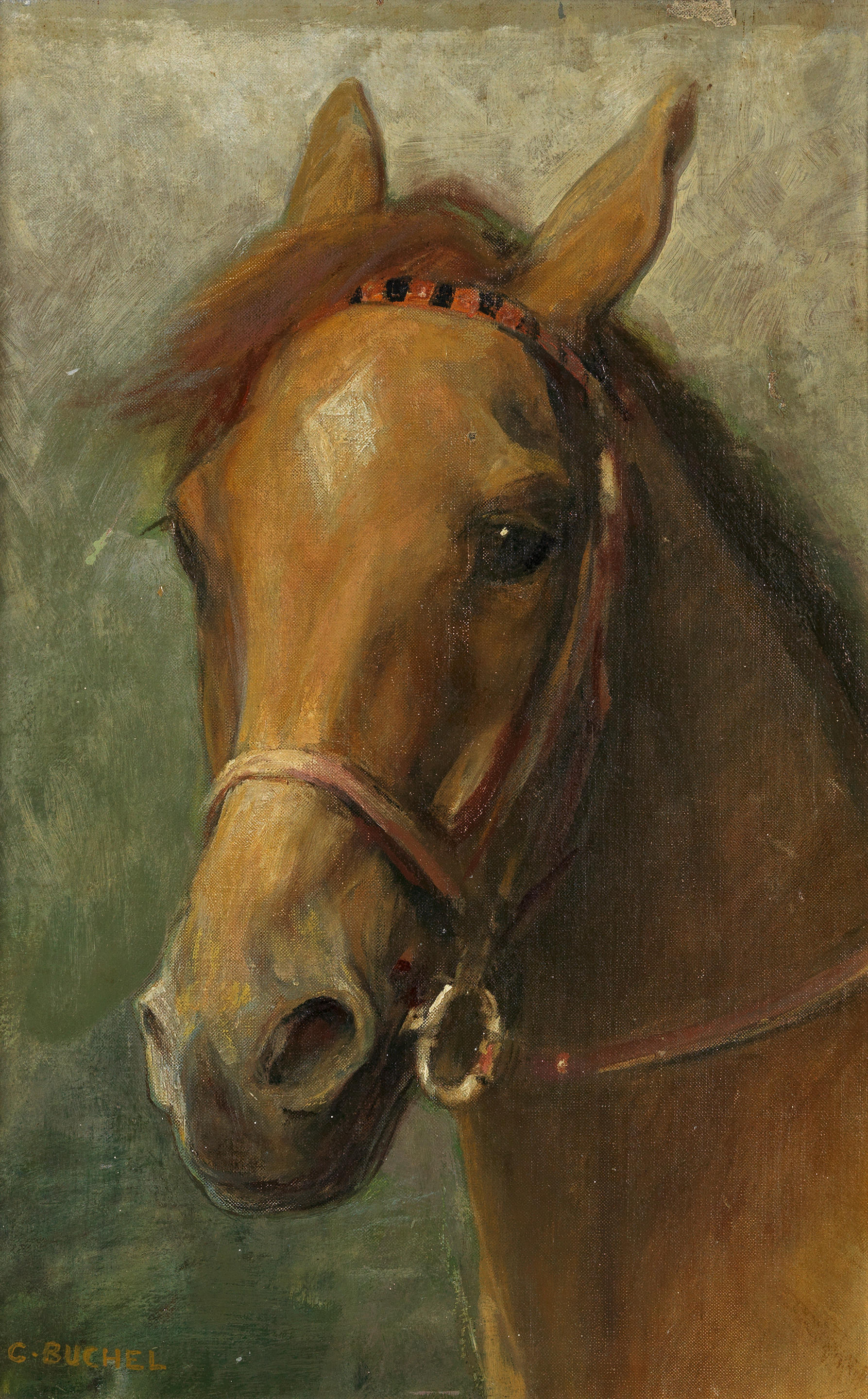 Bonhams : Charles A. Buchel (British, 1872-1950) Portrait of horse