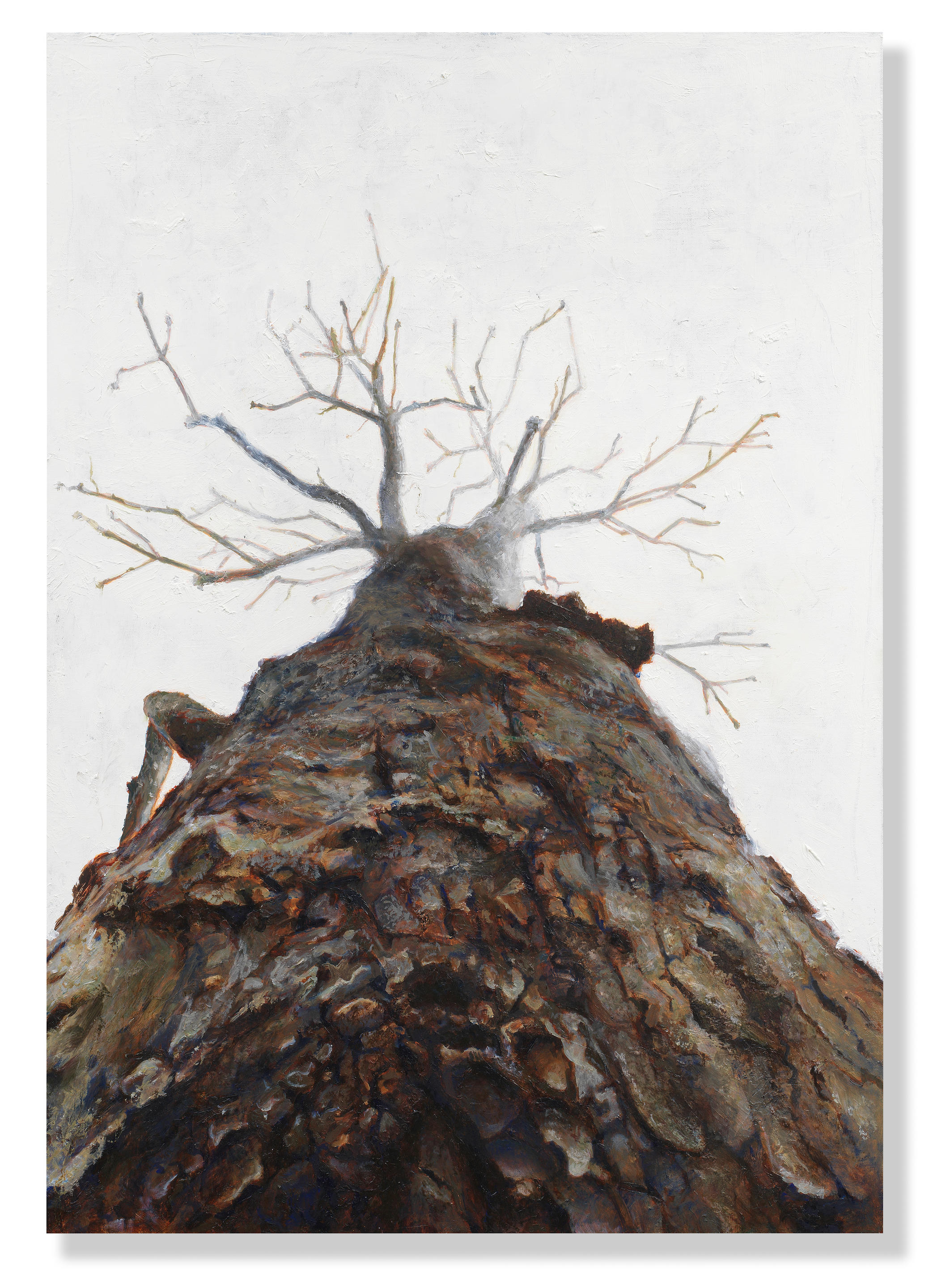 Bonhams : FRANCISCO TIMOTEO Untitled (Tree Series) 2023