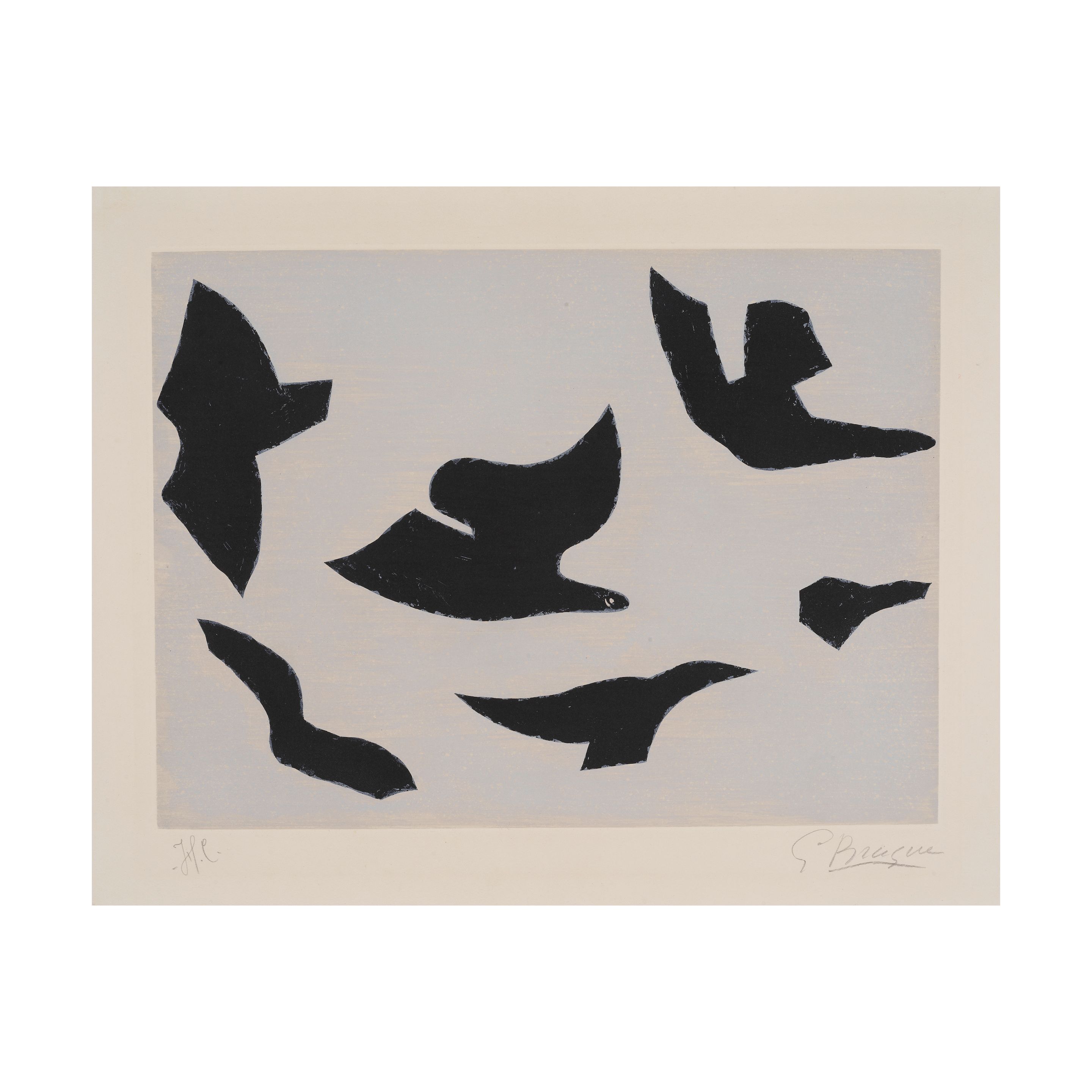 L'ordre des oiseaux