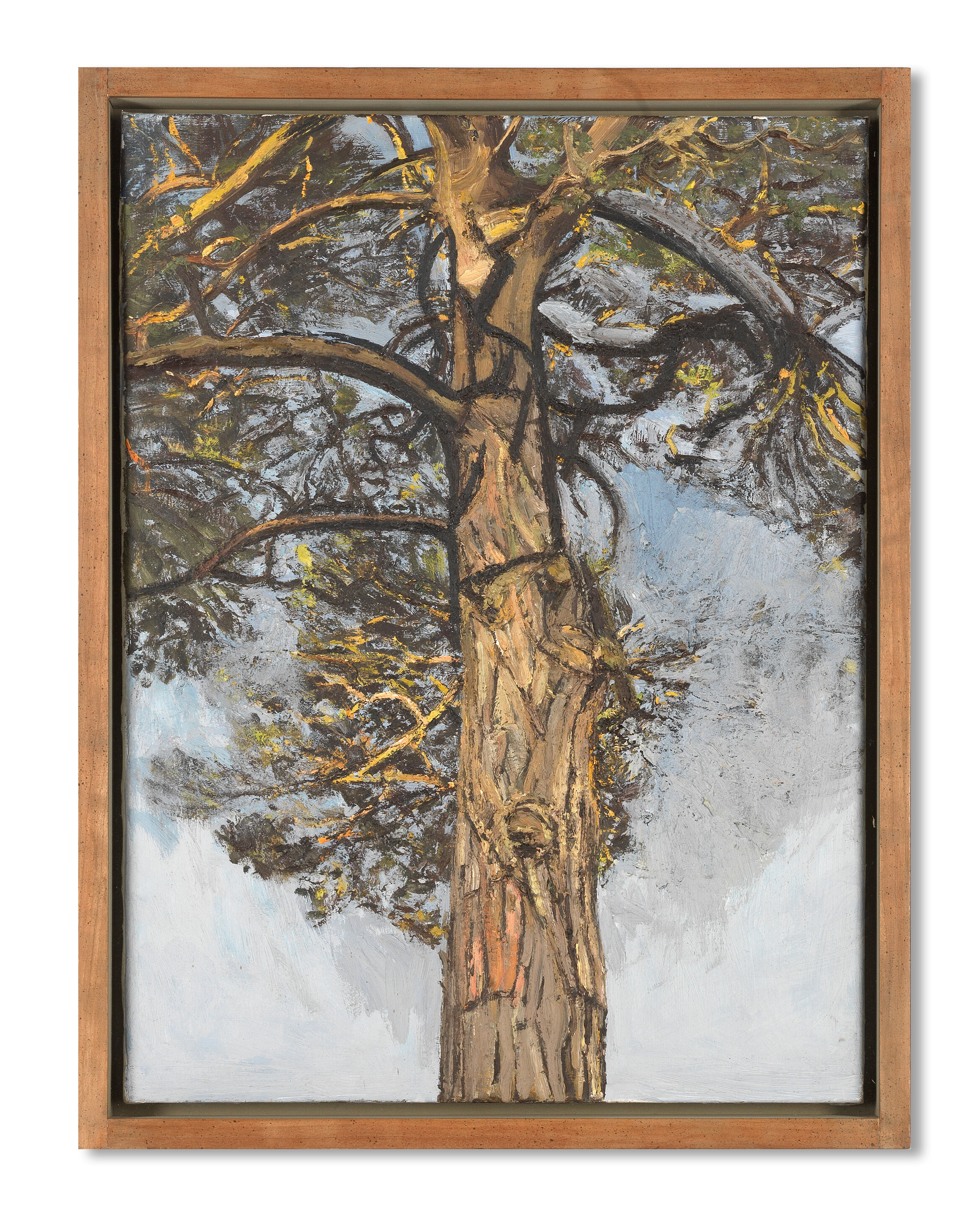 Pine Tree III - Thumb 3