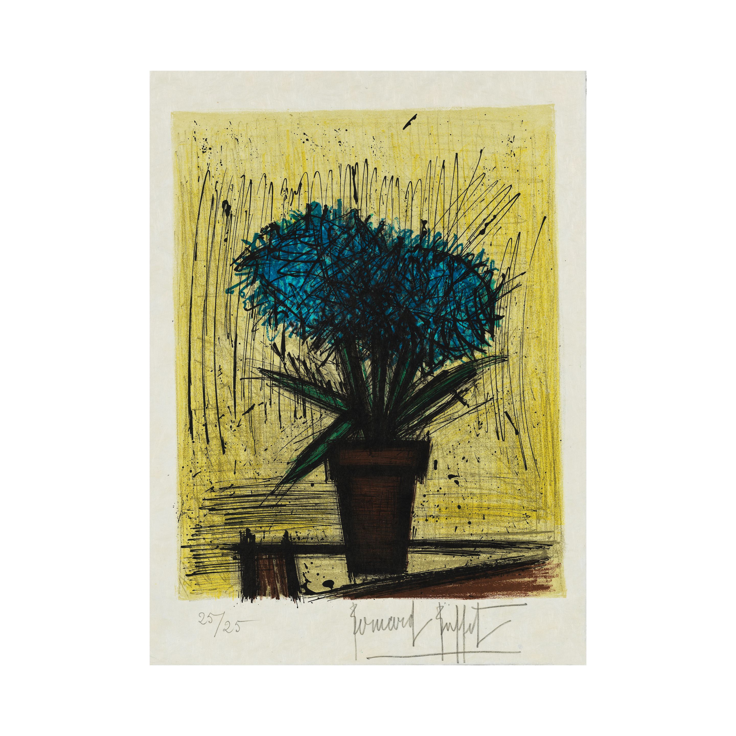 Les Hortensias
