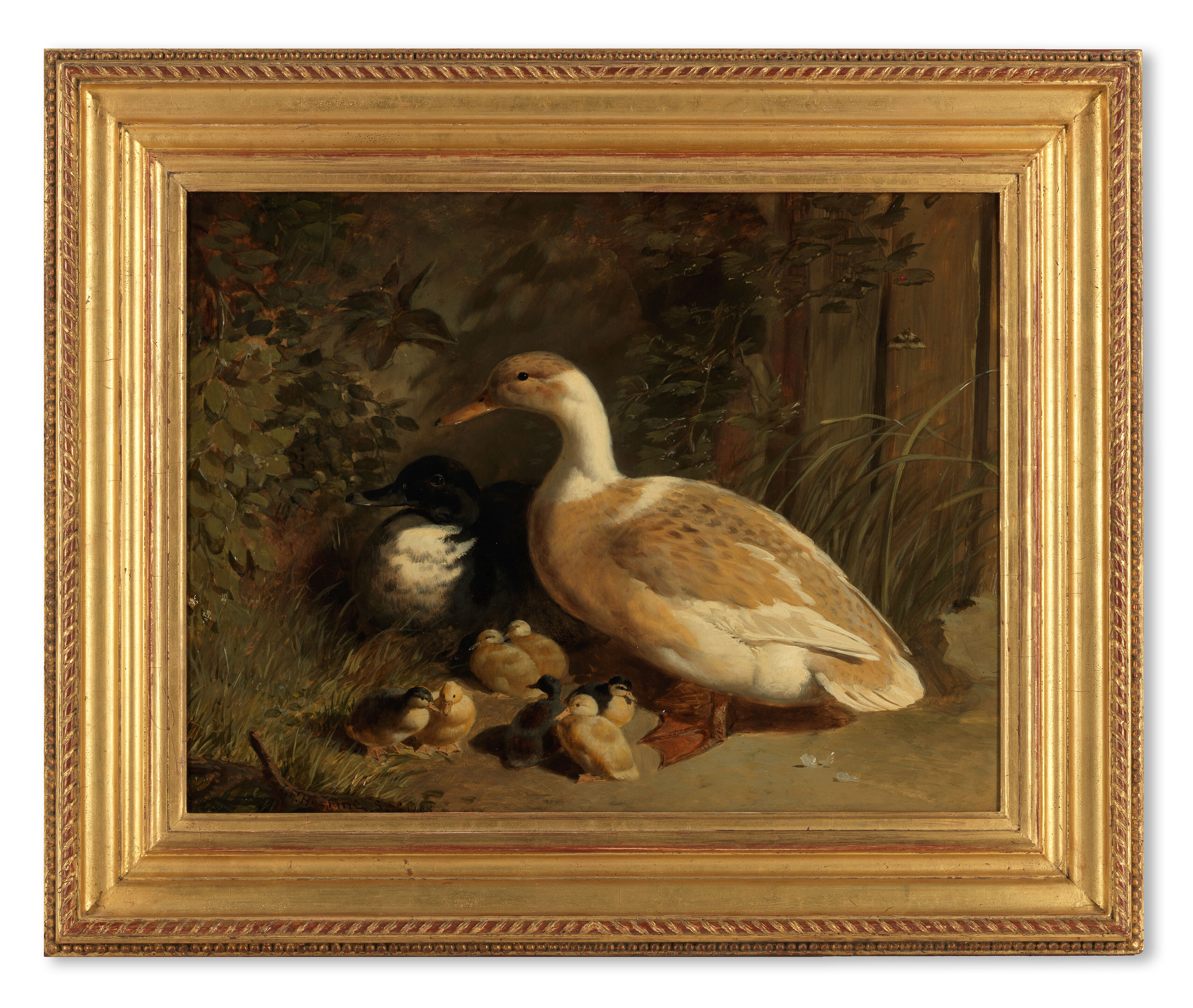 Ducks & Ducklings - Thumb 2