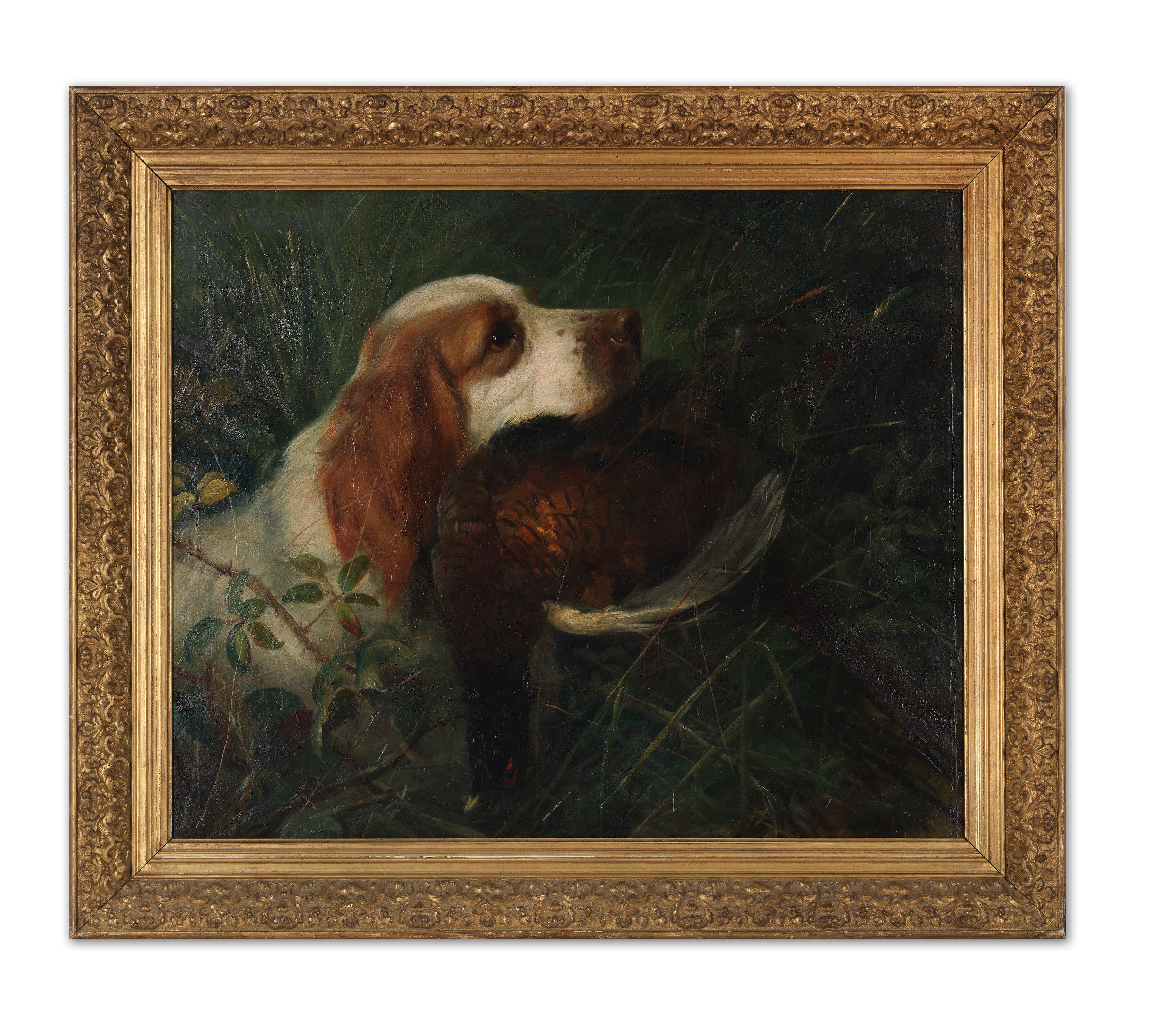 Spaniel Retrieving A Pheasant - Thumb 2