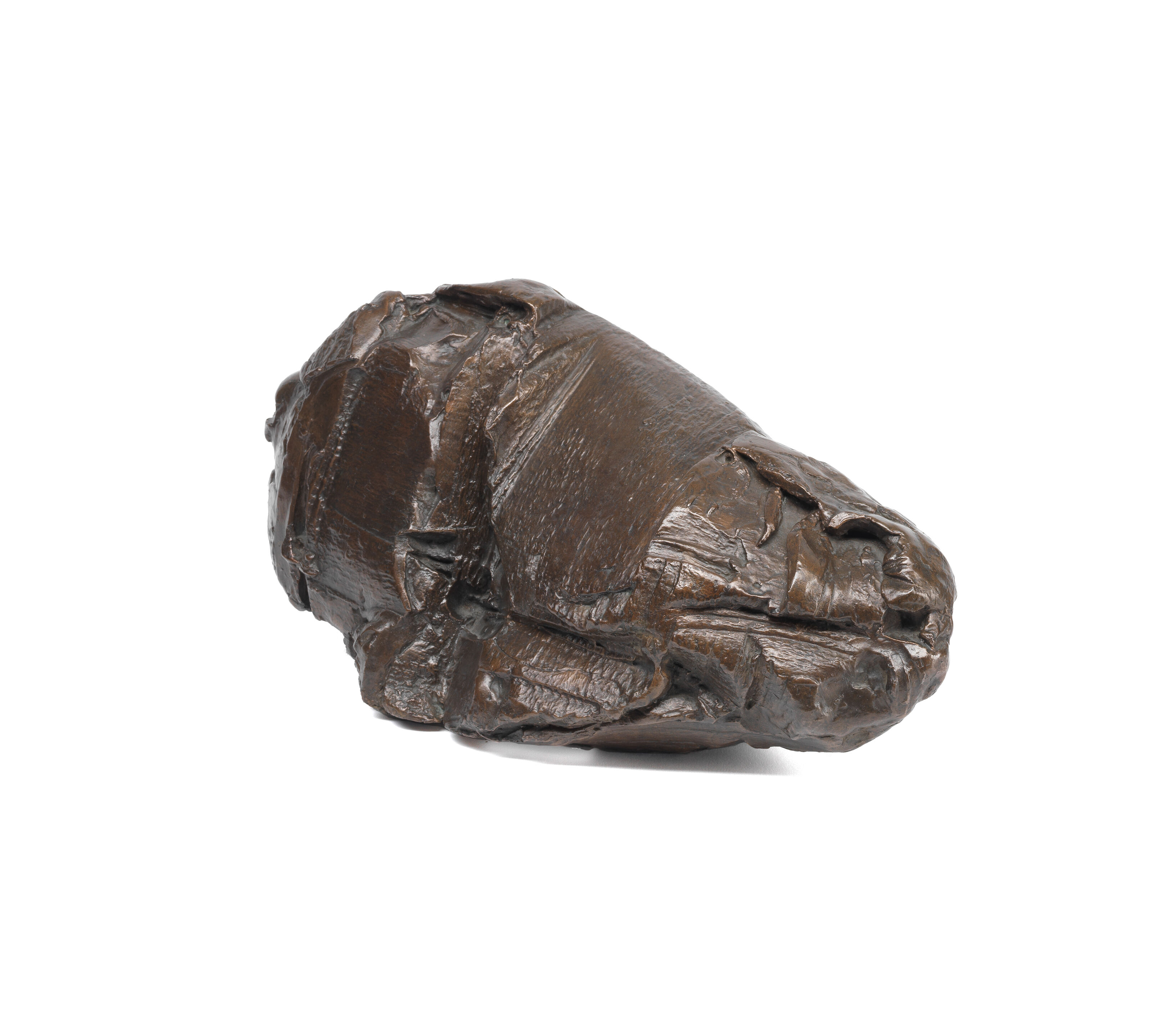 Head