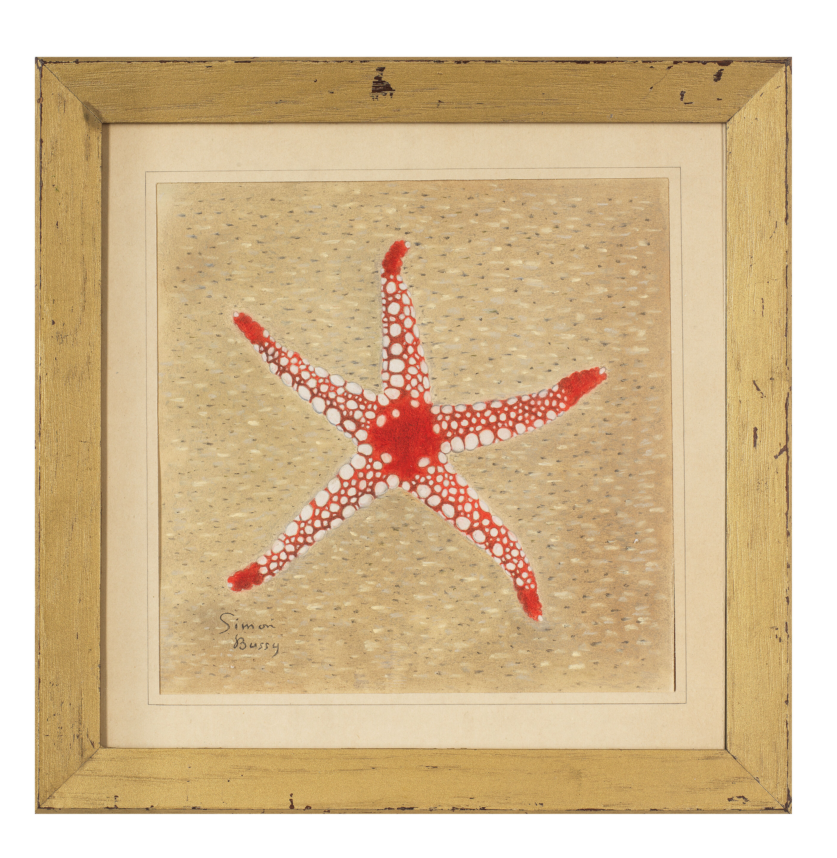 Starfish - Thumb 2