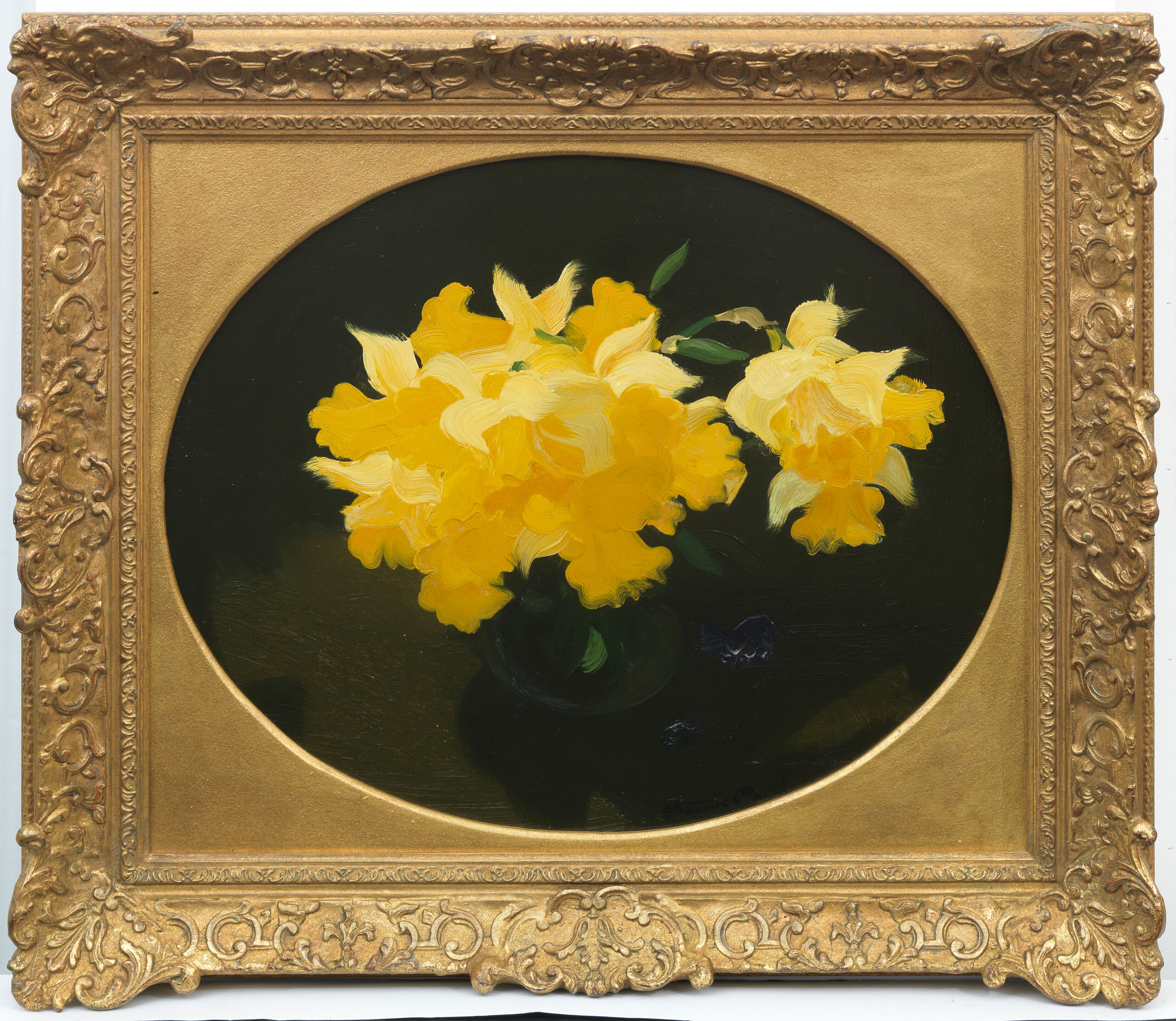 Daffodils - Thumb 2