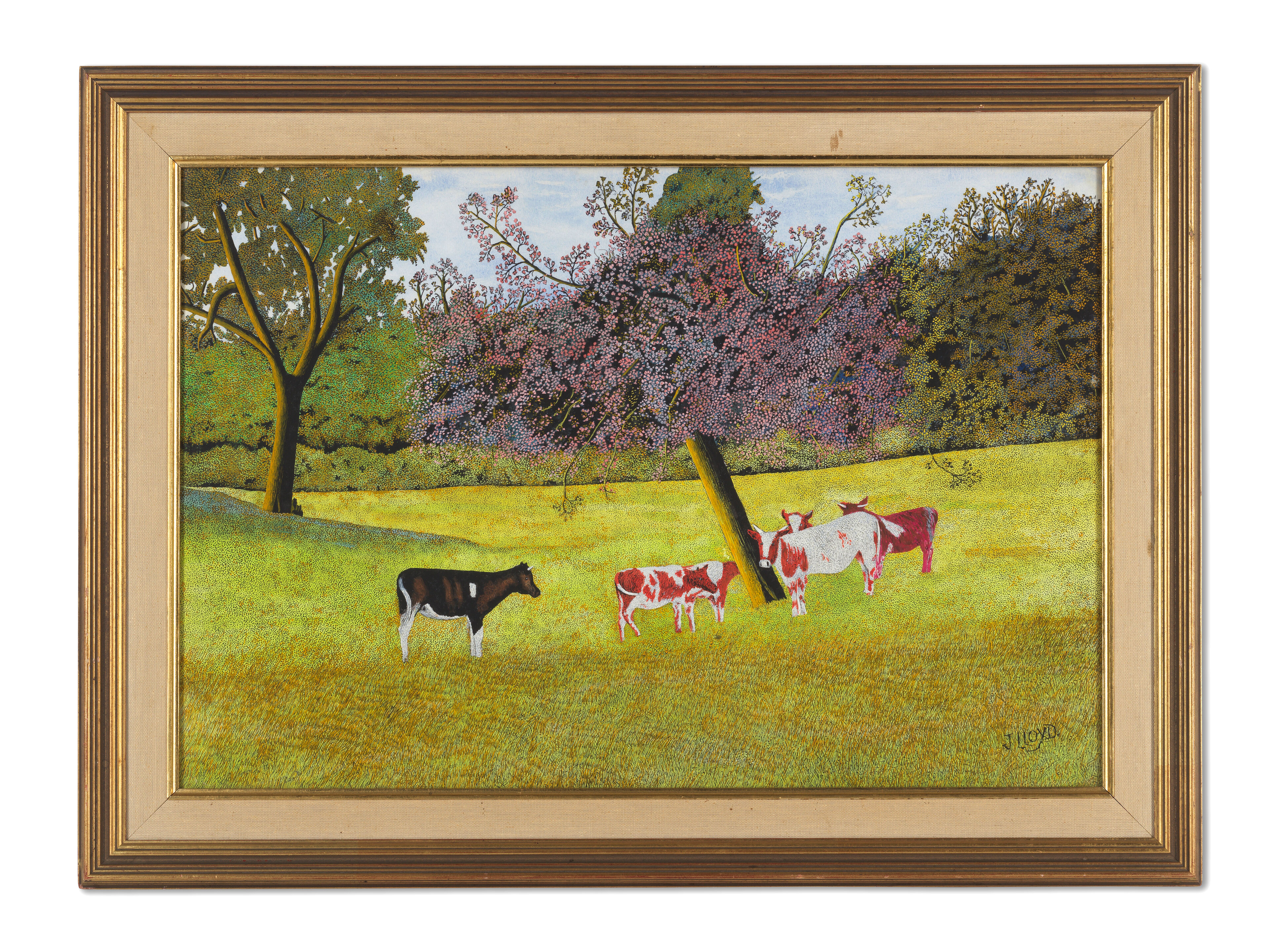 Cows Grazing - Thumb 2