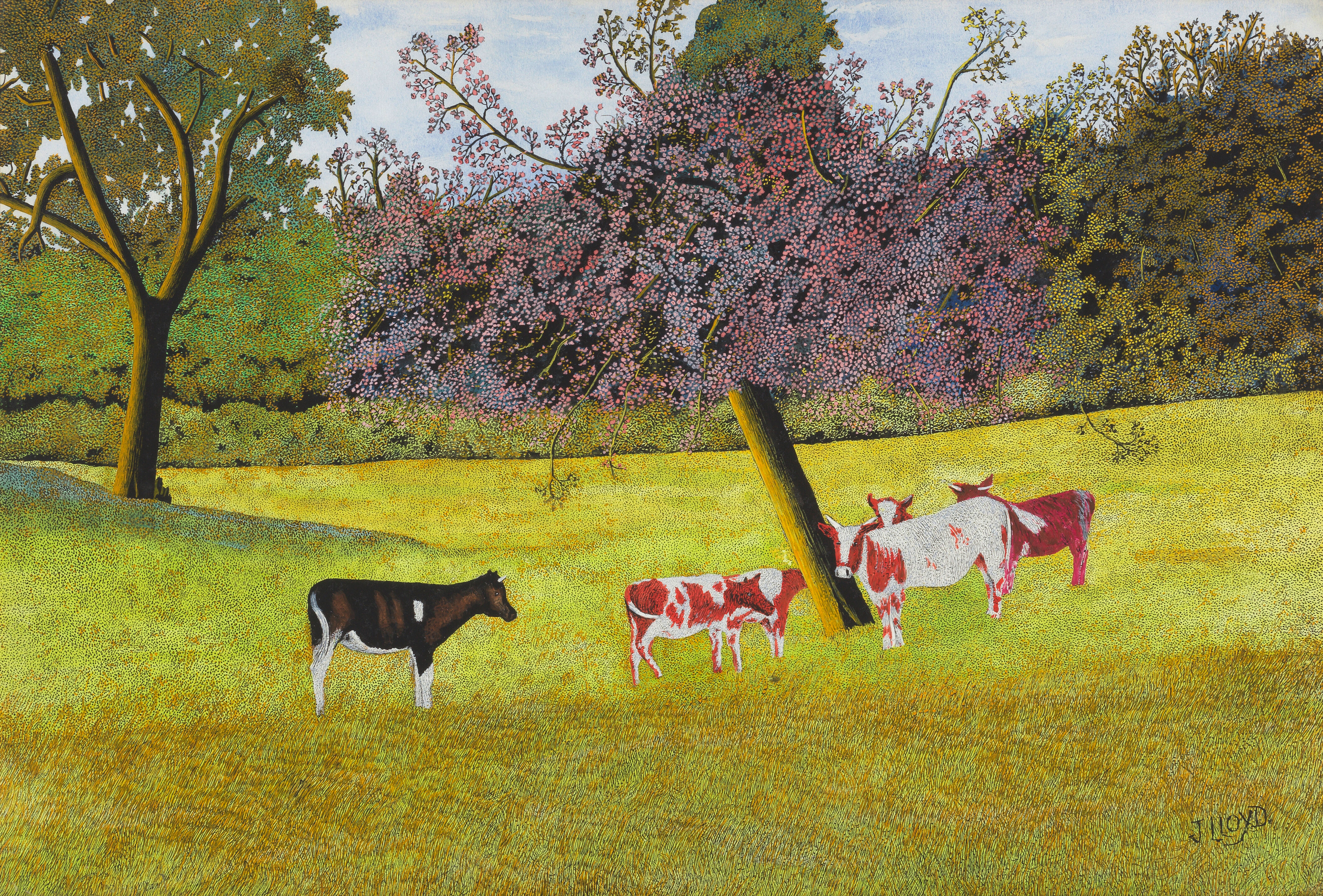 Cows Grazing