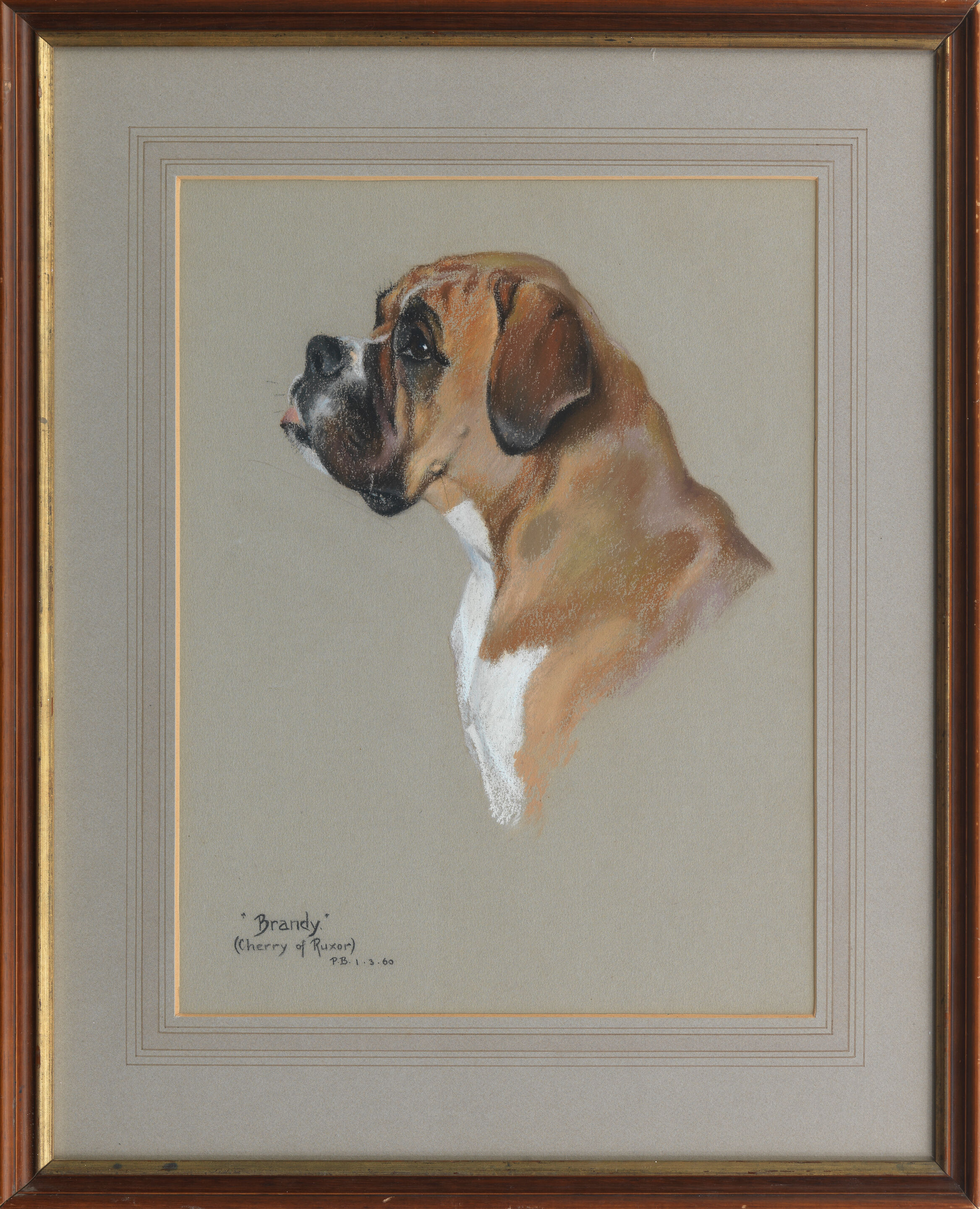Brandy - A Boxer - Thumb 3