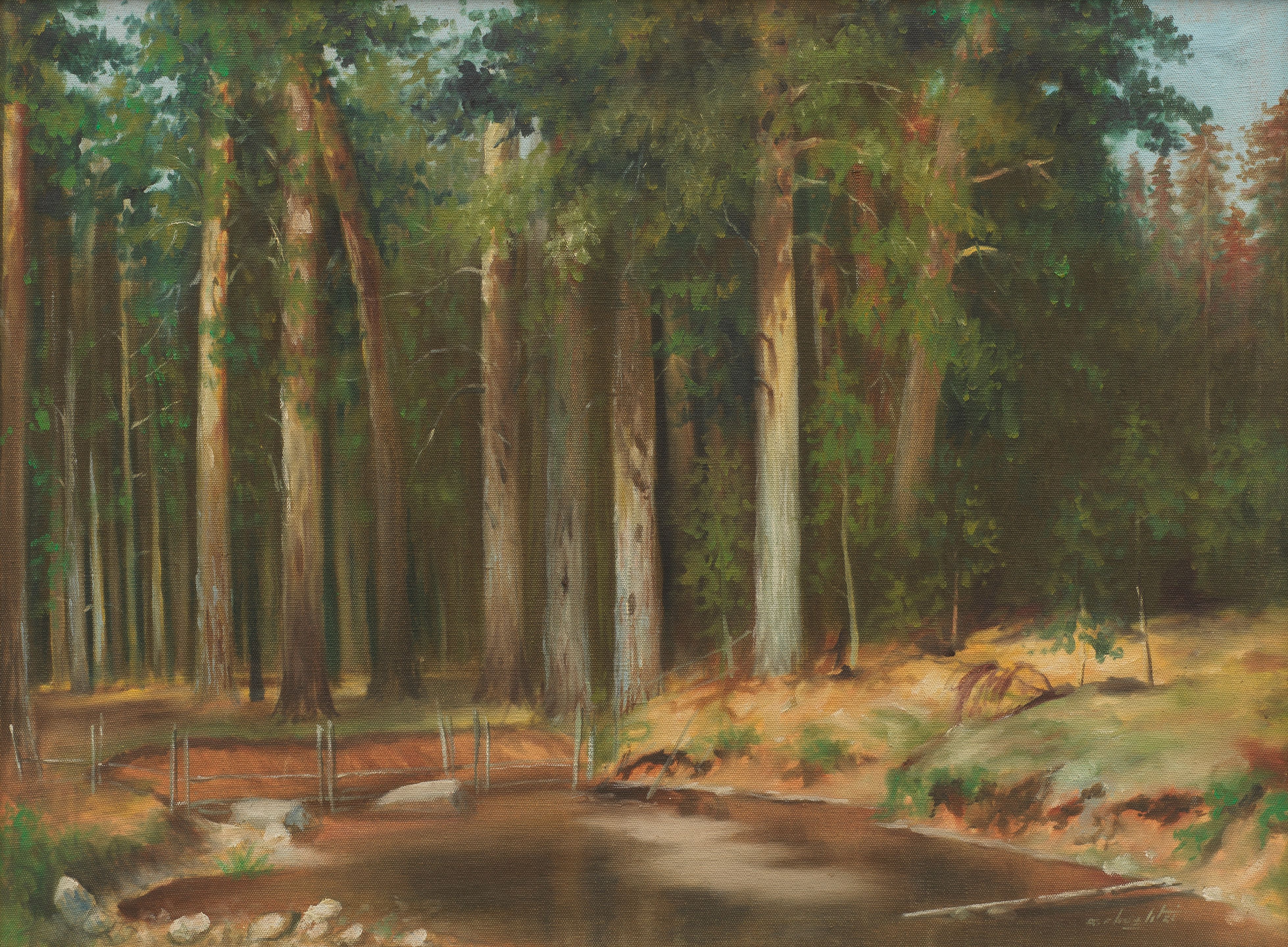 Untitled (Kaghan Forest)