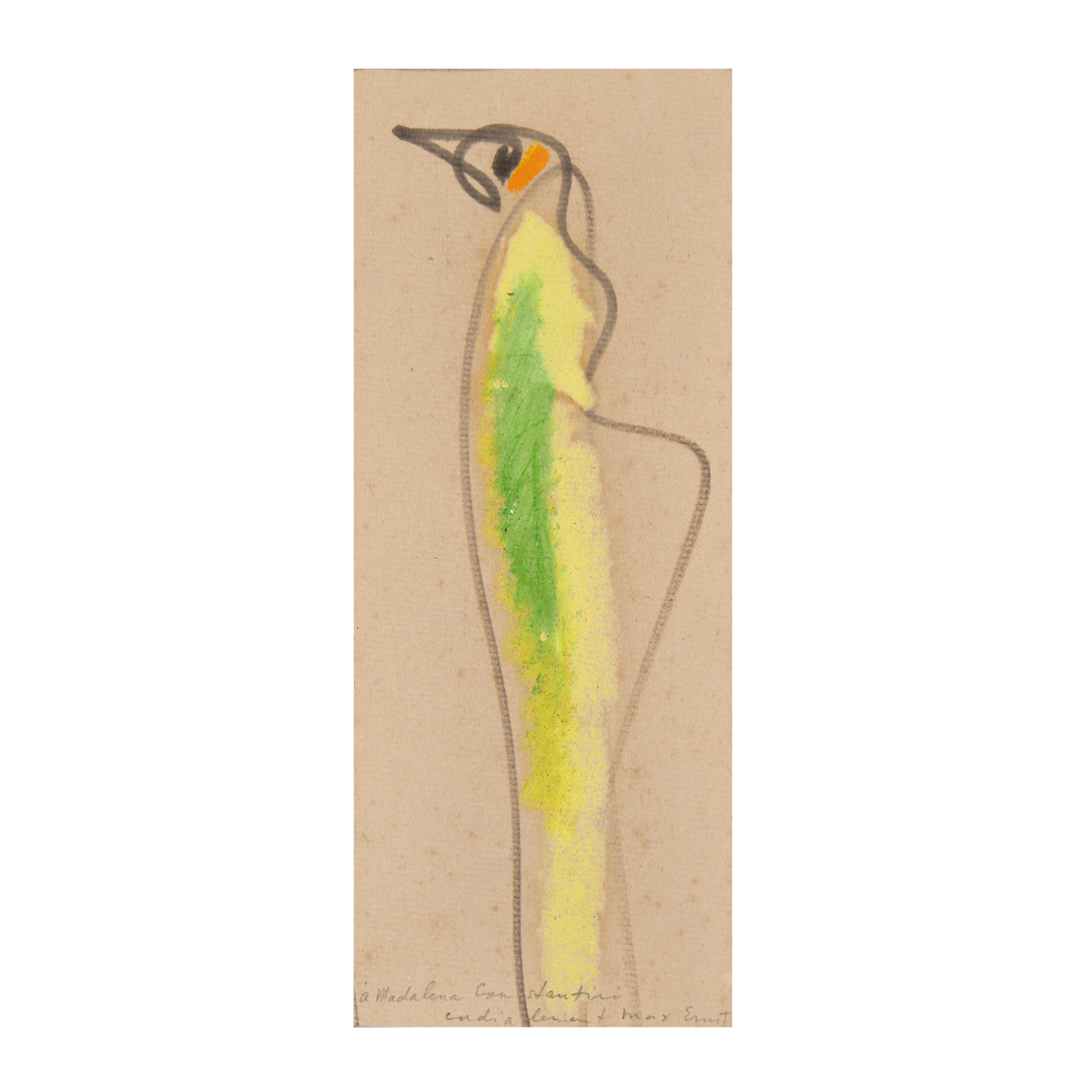 Vogel