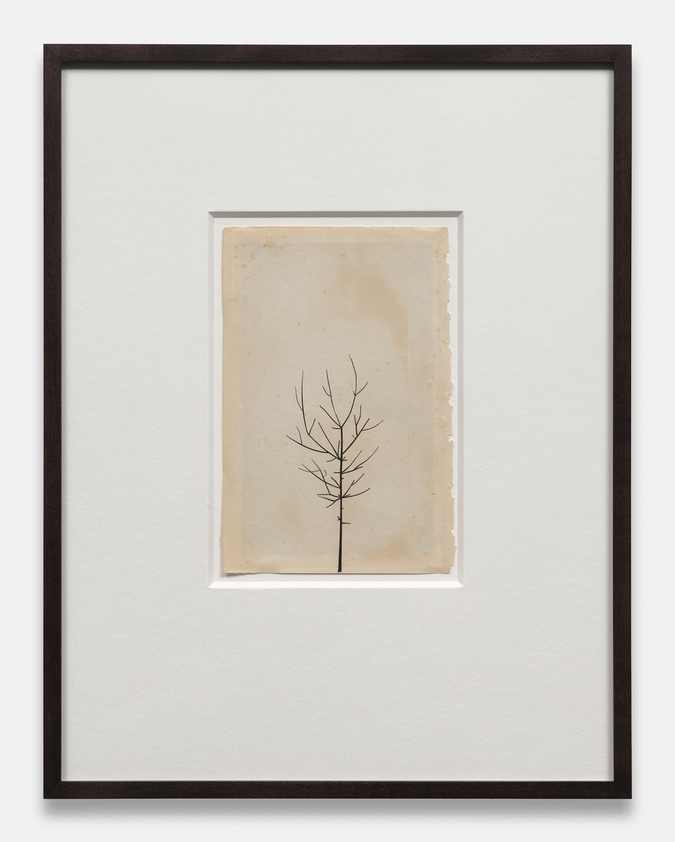 Winter Drawing