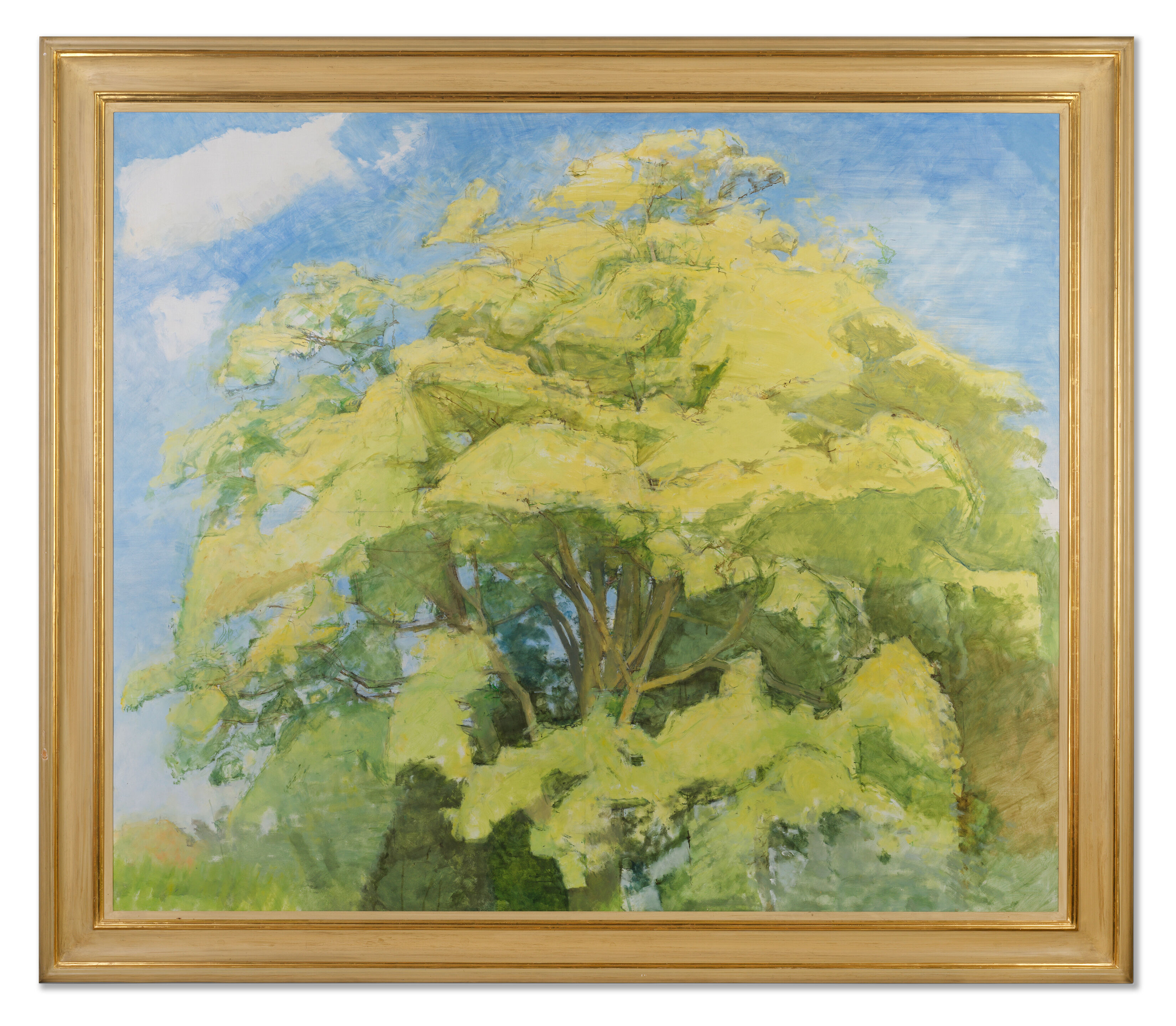 Large Sycamore - Thumb 2