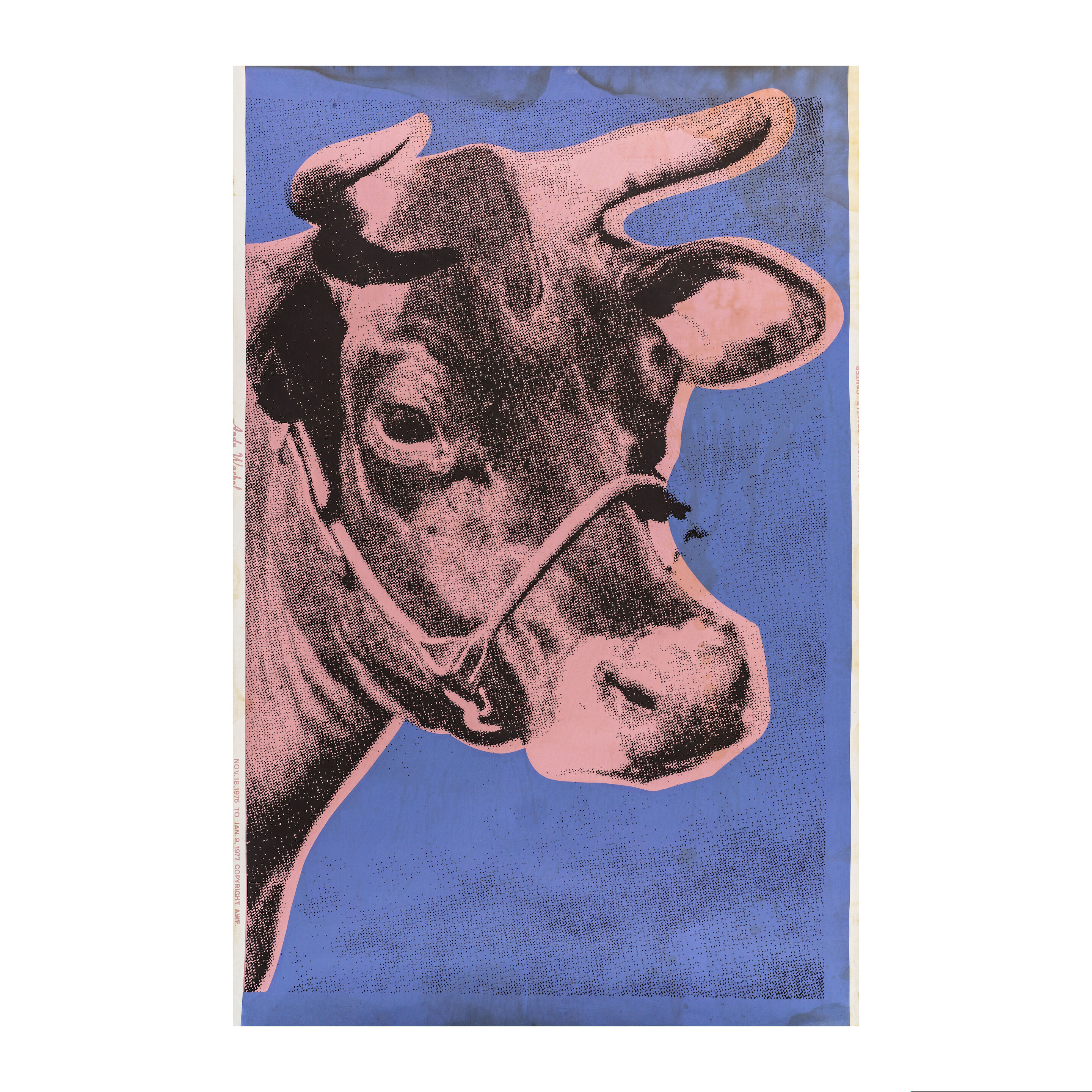 Cow Wallpaper