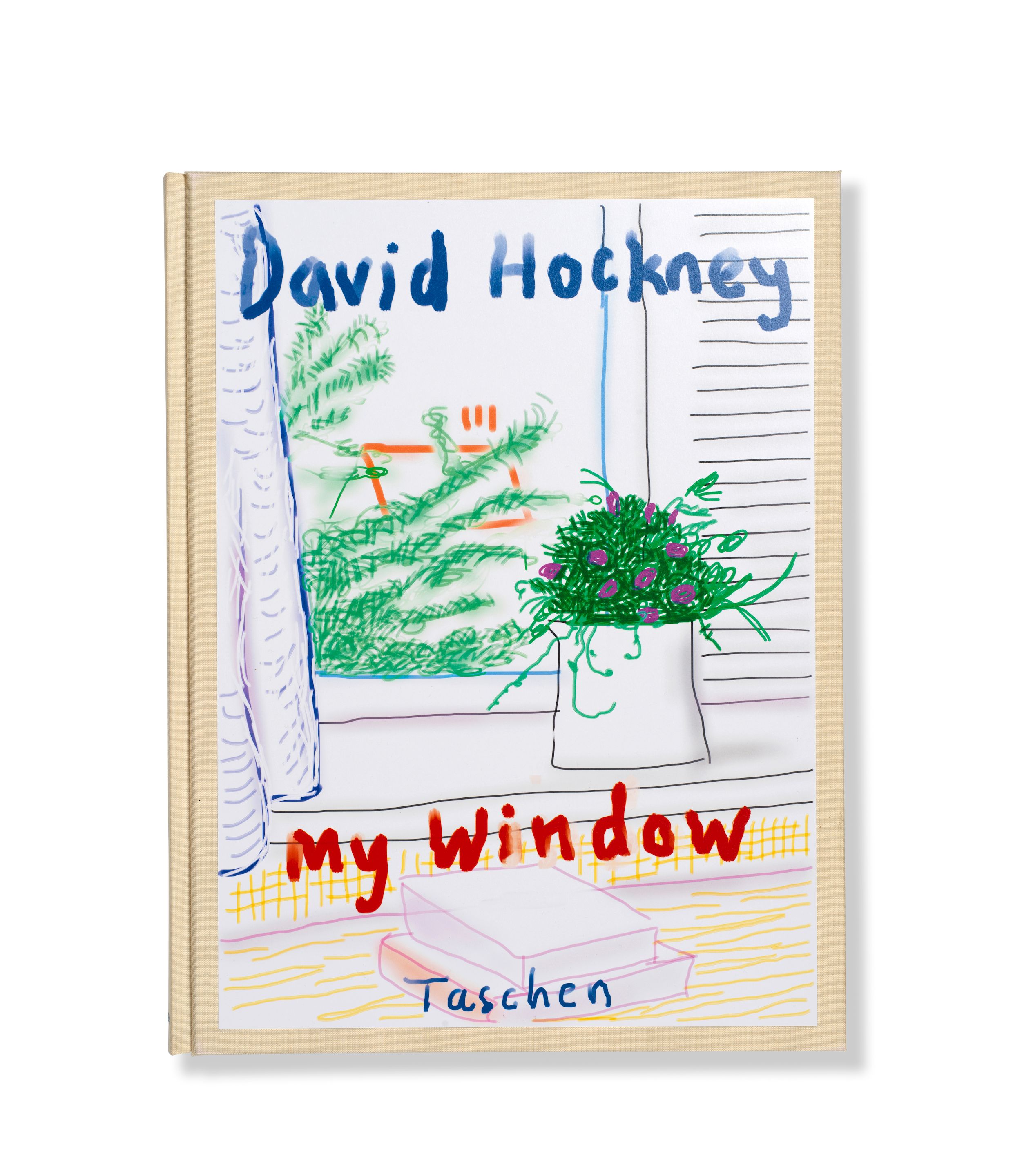 My Window