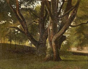 Woodland scene with old and young trees. C. 1882. Unsigned. Oil on canvas. 28 × 36 cm. Woodland scene with old and young trees. C. 1882. Unsigned. Oil on canvas. 28 × 36 cm.