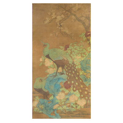 ANONYMOUS Peacock on rocks