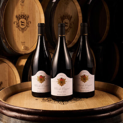 Vertical of Domaine Hubert Lignier, Clos de Vougeot Grand Cru, 2020, 2021 & 2022 (3 x Magnum) and a Private Visit & Tasting for 2 Guests