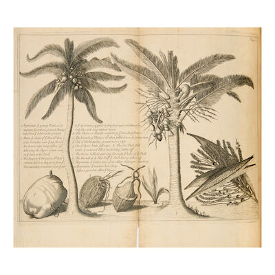 John Fryer, A New Account of East India and Persia London, Printed by R.R. for Ri[chard] Chiswell, at the Rose and Crown in St. Paul's Churchyard, 1698