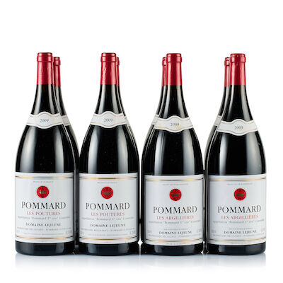 Mixed Lot of Domaine Lejeune, Pommard 1er Cru, 2009 (8 x Magnum)