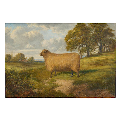 English School, 19th Century Prize sheep