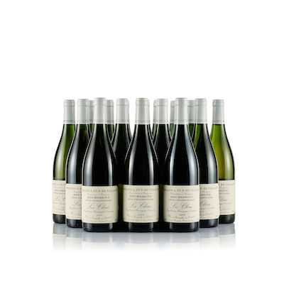 Vertical of Domaine de Villaine, Bourgogne Côte Chalonnaise, Les Clous, White, 2007, 2008 & 2009 (18 x 750ml)