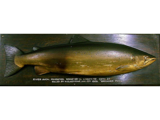 A three quarter block carved and painted wooden Salmon, 53cm x 104cm approximately, (2).