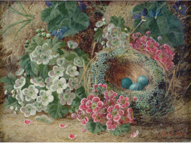 Oliver Clare (British, 1853-1927) Blossom and a bird`s nest with eggs on a mossy bank,