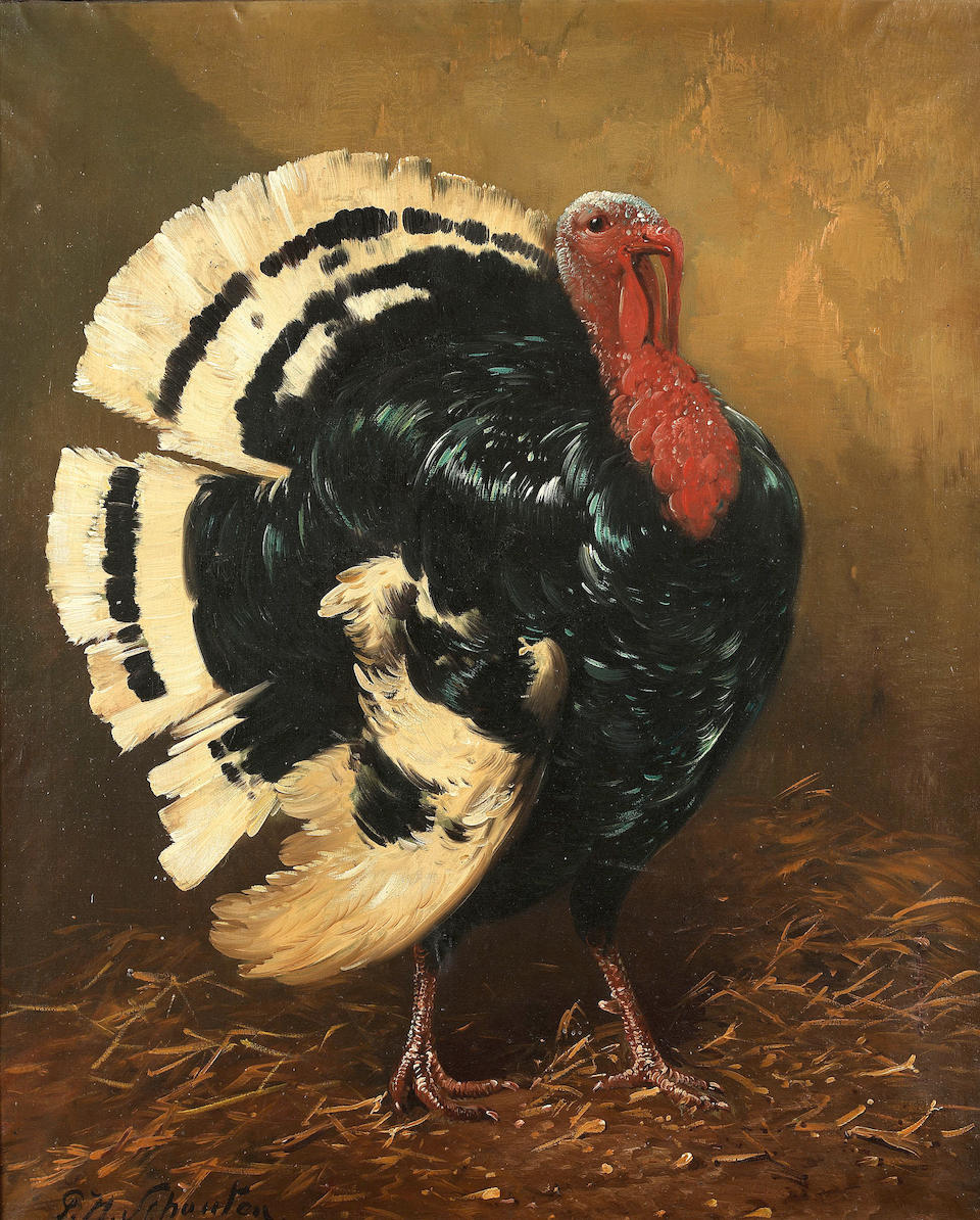 Henri Schouten (Belgian 1857-1927) A turkey; A cockerel