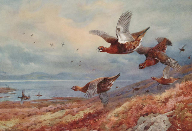 Archibald Thorburn (British, 1860-1935) Game Birds and Wild-Fowl of Great Britain and Ireland, written and illustrated by A.Thorburn, containing thirty plates in colour, showing fifty eight species,
