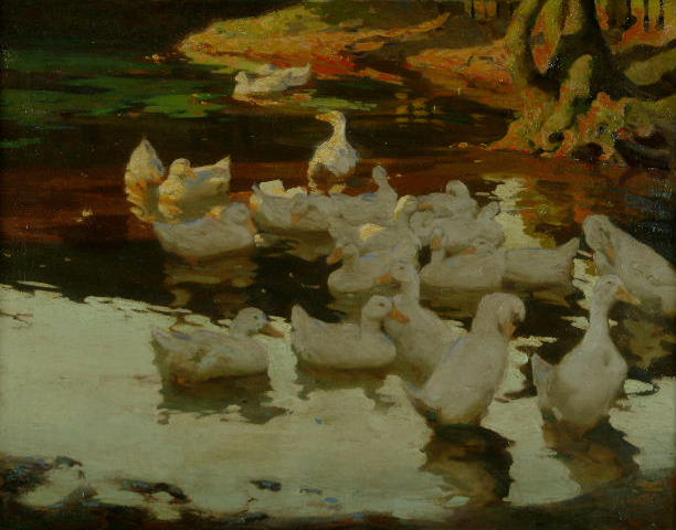 Fred Hall - Ducks on a pond