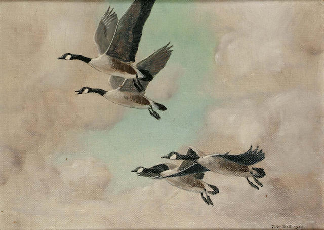 Sir Peter Scott (British, 1909-1989) Canada Geese in flight, 26.2 x 36.5cm.
