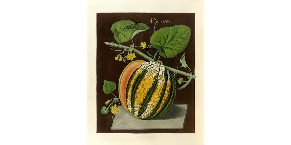 BROOKSHAW (GEORGE) Pomona Britannica; or, a Collection of the Most Esteemed Fruits at Present Cultivated in this Country... Selected Principally from the Royal Gardens at Hampton Court