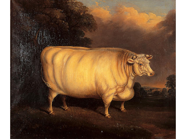 Edwin M. Fox (op. 1830-1870) British A prize shorthorn in a fieldsigned and dated 'E.M. Fox 1854', oil on canvas, 51 x 61cm (20 x 24in).