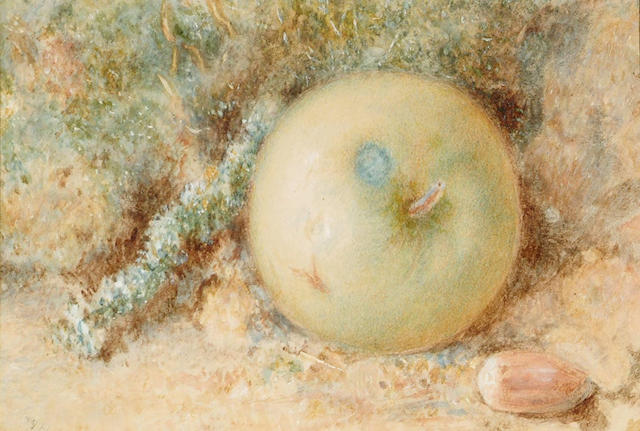 William Henry Hunt (British, 1790-1864) Still Life of an apple, 11 x 15 cm.