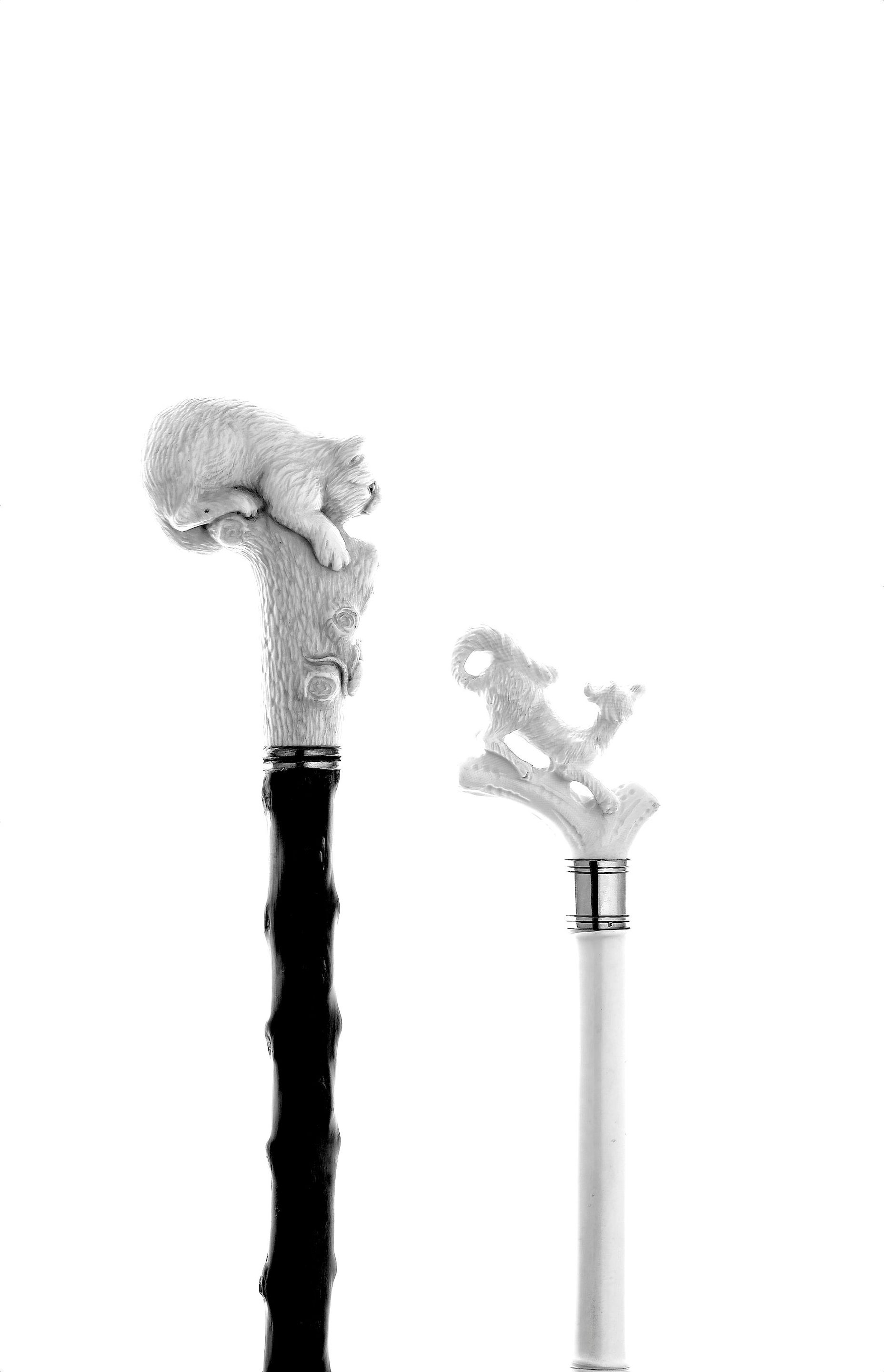 A cat walking cane,