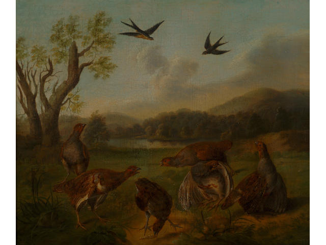 Stephen Elmer (1717-1796) 'A flock of partridge with a lake and swallows' 37 x 45cm (14 1/2 x 17 3/4in)