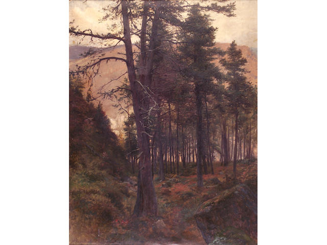 Joseph Farquharson RA (1846-1935) A Deeside pine wood 91 x 71cm