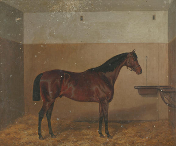 Circle of John Alfred Wheeler (1821-1903) ''The Doctor' - a bay horse in a loose box' 50 x 60cm