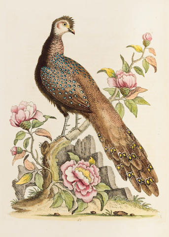 EDWARDS (GEORGE) A Natural History of Uncommon Birds, and of some other rare and Undescribed Animals [-Gleanings of Natural History], 7 vol.