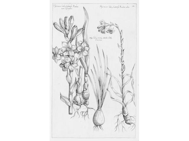 SWEERT (EMANUEL) Florilegium... tractans de variis floribus, et aliis indicis plantis ad vivum delineatum, 2 parts in one vol.