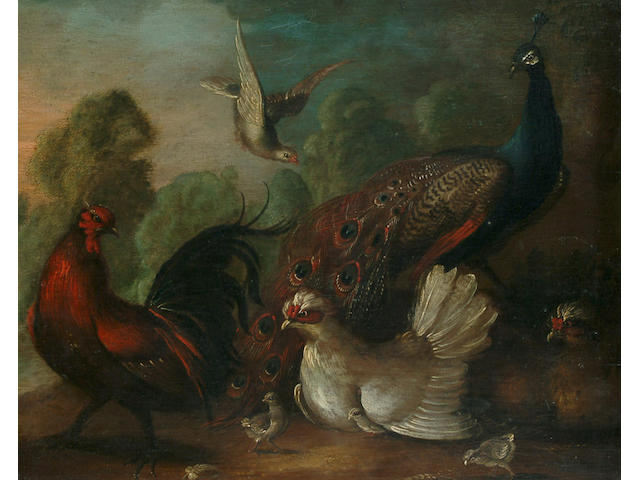 Marmaduke Cradock (British, 1660-1717) Pheasants and chickens in a landscape, 10 3/8 x 12 7/8 in. (26.4 x 32.8 cm.)