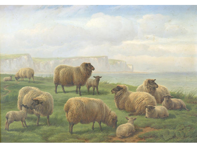 Charles Jones (1836-1892) 'Sheep on a grassy clifftop, chalk cliffs beyond' 38 x 54cm (15 x 21in)