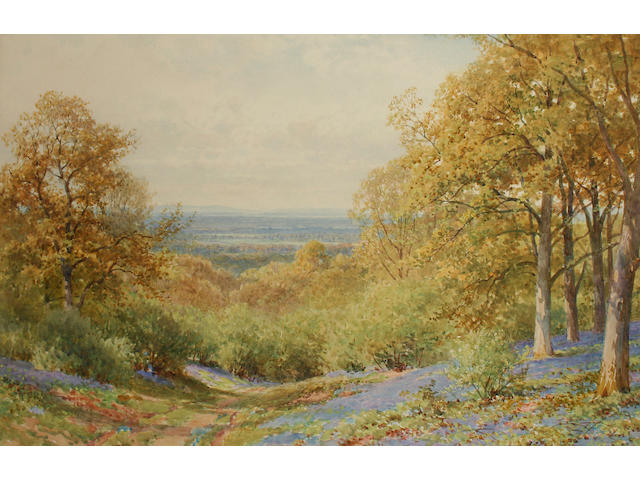 Harry Sutton Palmer 'Bluebells on Leith Hill, Surrey', 35 x 53cm.