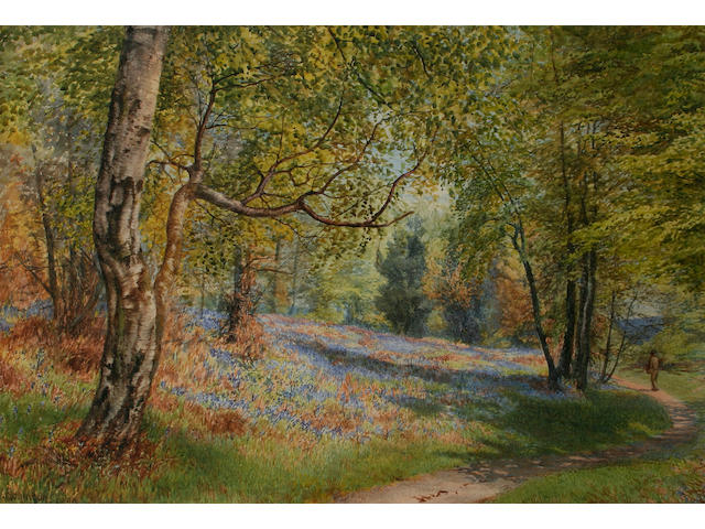 William Robinson 'Bluebell Woods at Pott Shrigley, Cheshire', 37 x 54cm.