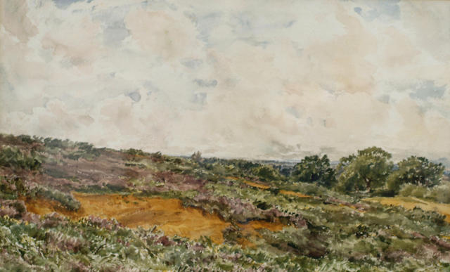 Thomas Collier (1840-1891) 'Fittleworth Common, Sussex', 31 x 50cm