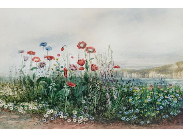 Andrew Nicholl R.H.A. (1804-1886) Poppies and wild flowers with Dunluce Castle beyond, County Antrim 33 x 49.5 cm. (13 x 19 1/2 in.)