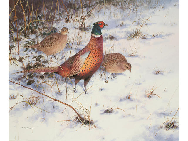 Roger McPhail (British, b.1953) Pheasants in the snow, 48 x 58cm (19 x 22 3/4in)